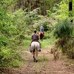 Working on the Ranch